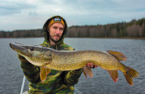 Gädda, gäddfiske, Daniel Thörngren, Billow