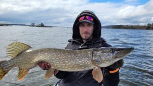 Gädda, gäddfiske, Daniel Thörngren, Billow